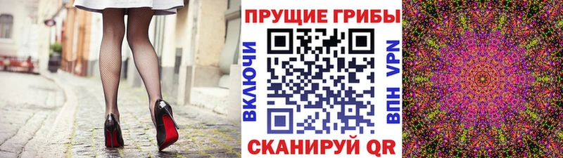 Псилоцибиновые грибы GOLDEN TEACHER  закладка  Кашира 