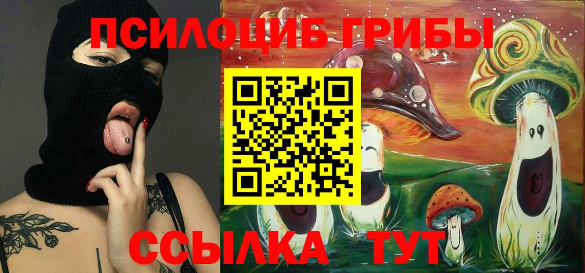 Псилоцибиновые грибы Psilocybe  Галлюциногенные грибы прущие грибы  хочу   Вход с VPN  Кашира 